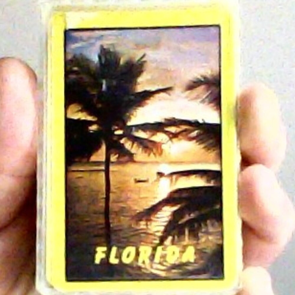 Florida playing cards